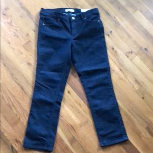LOFT Modern Kick Crop Jeans